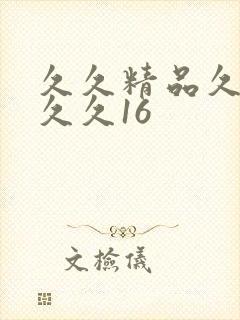久久精品久久久久久16
