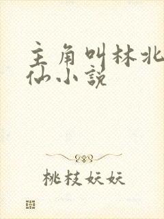 主角叫林北的修仙小说