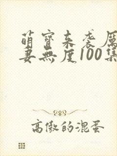 萌宝来袭厉总宠妻无度100集