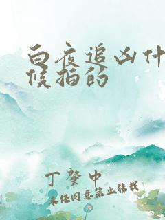 白夜追凶什么时候拍的