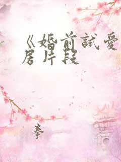《婚前试爱》圆房片段