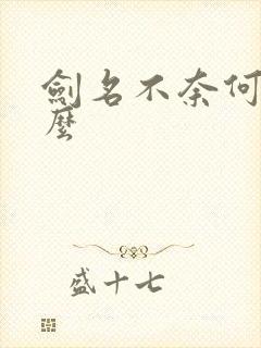 剑名不奈何讲什么