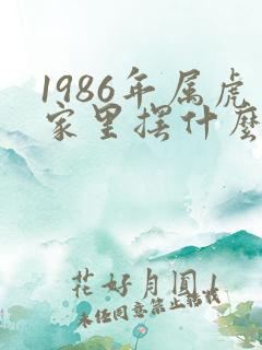 1986年属虎家里摆什么最旺财
