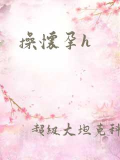 操怀孕h 操怀孕h