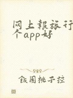 网上报旅行团哪个app好