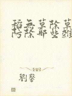 稻无草除草剂能防除哪些杂草