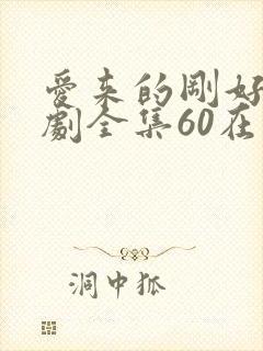爱来的刚好电视剧全集60在线观看