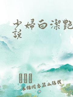少妇白洁艳情小说