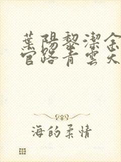 叶阳黎洁余秋水官路青云天骄小说