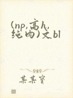 (np,高h,纯肉)文bl