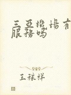 三亚机场有租车服务吗 三亚机场有租车服务吗