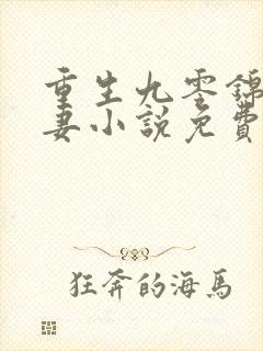 重生九零锦鲤福妻小说免费