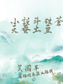 小说斗破苍穹2天蚕土豆 小说斗破苍穹2天蚕土豆