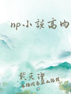 np小说高肉