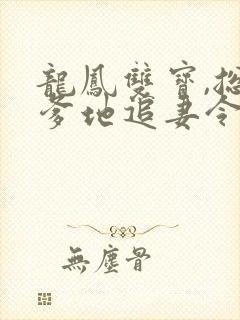 龙凤双宝,总裁爹地追妻令