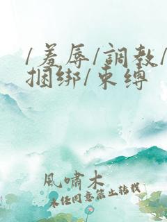 /羞辱/调教/捆绑/束缚