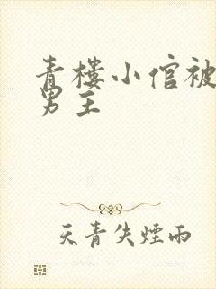 青楼小倌被宠双男主