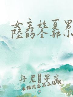 女主姓夏男主姓陆的全部小说