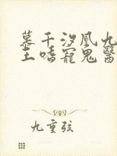 慕千汐凰九夜邪王嗜宠鬼医