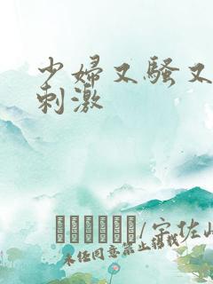 少妇又骚又爽又刺激