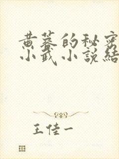 黄蓉的秘密大武小武小说结局