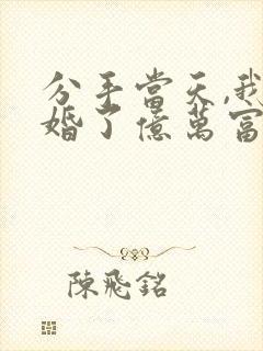 分手当天,我闪婚了亿万富豪