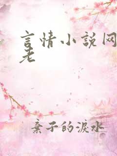言情小说网 恋老