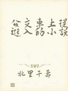 公交车上从后面进入的小说