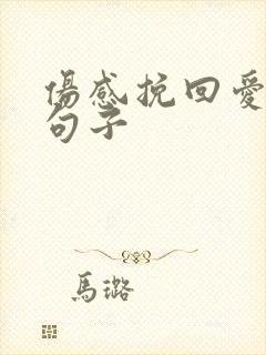 伤感挽回爱情的句子