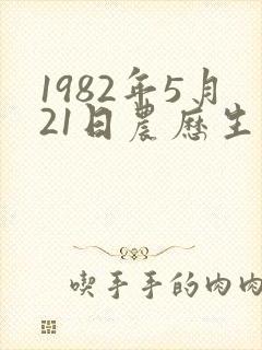 1982年5月21日农历生辰八字