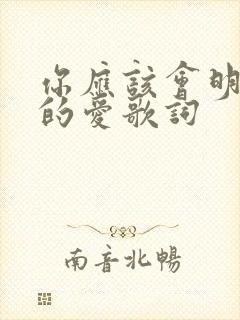 你应该会明白我的爱歌词