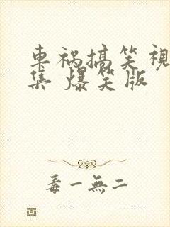 车祸搞笑视频合集 爆笑版