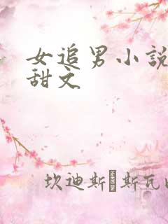 女追男小说校园甜文