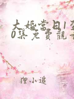 大婚当日1至50集免费观看