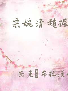 宋婉清赵振国