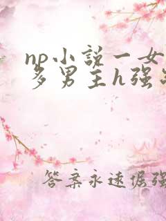 np小说一女主多男主h强制爱