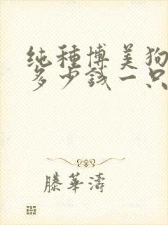 纯种博美狗大概多少钱一只