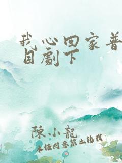 我心回家普法栏目剧下