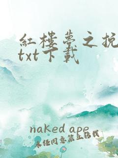红楼梦之挽天倾txt下载