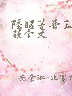 陆昭菱晋王的小说全文