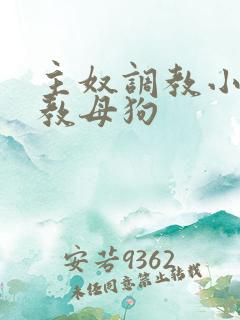 主奴调教小说调教母狗