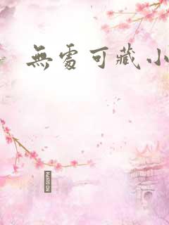 无处可藏小说