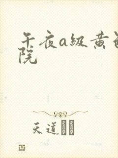 午夜a级黄色影院