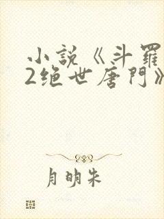 小说《斗罗大陆2绝世唐门》