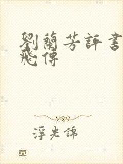 刘兰芳评书丶岳飞传