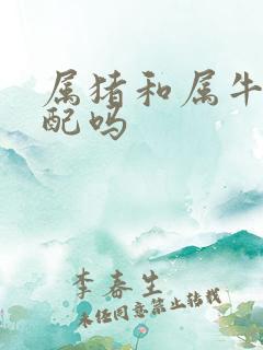 属猪和属牛的相配吗
