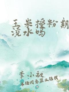 玉米授粉期可以浇水吗