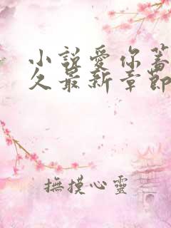 小说爱你蓄谋已久最新章节阅续