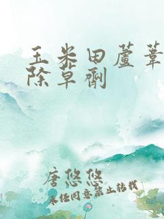 玉米田芦苇专用除草剂