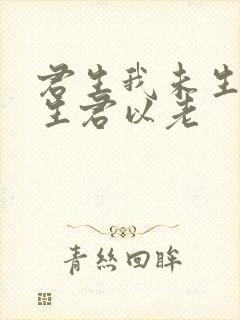 君生我未生,我生君以老 君生我未生,我生君以老